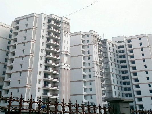 3 BHK Flat Sale Ramprastha Skyz Sector 37D Gurgaon